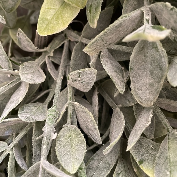 Bundle of 5 Faux Greenery - Picture 8 of 17